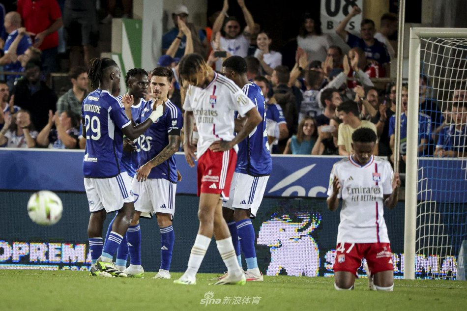 化的多样性 化的多样性